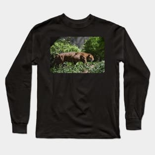 Jaguar Long Sleeve T-Shirt